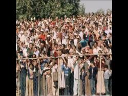 SYND 31/1/80 MUHAMMAD ALI EXHIBITION BOUTS IN NEW DELHI Instructional Video