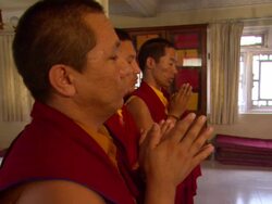 MS Three monks pray in row  / Kathmandu, Central, Nepal Stock Footage