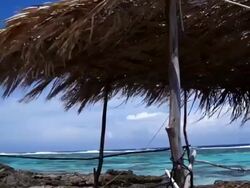 Rudimentary fishermen thatched shelter by a rough sea Stock Footage