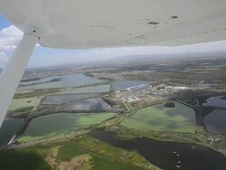 Wetlands near Cape Town Stock Footage
