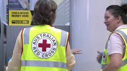 CLEAN : Australian tourists plead for help for cyclone-ravaged Vanuatu News Clip