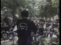 VOICED Elephants play percussion in orchestra at sanctuary News Clip