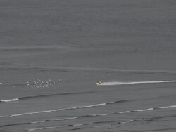 JET SKIING IN NORTH SEA Stock Footage