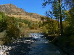 MS PAN Small stream flowing at tavush region / Yeregis, tavush, Armenia Stock Footage