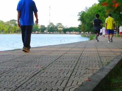 people exercise in the park Stock Footage