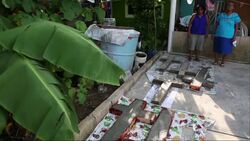 Massacre of family underlines Mexico violence News Clip