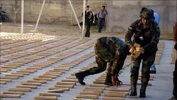 CLEAN : Bolivian police seized more than 1.8 tons of marijuana News Clip