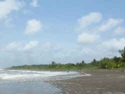 Tropical Beach (PAL) Stock Footage