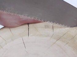 Woodworking sawing wood with handsaw Stock Footage