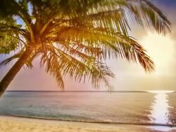 Dream holiday Stock Footage