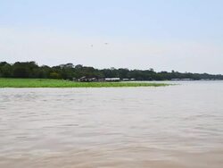 Idyllic Scenes From A Boat Ride Across The Amazon Stock Footage