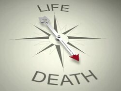 Life Versus Death Stock Footage