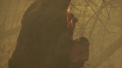 Wildfire Dangers Continue As Crews Battle Blazes News Clip