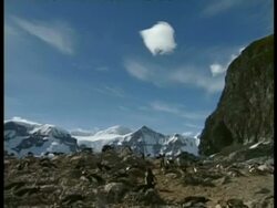WA pan left over Gentoo penguin colony, snowy mountains in background, Antarctica Stock Footage