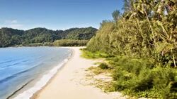 sea and coconut palm Stock Footage