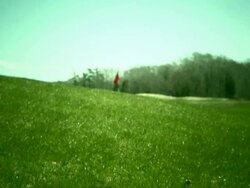 Golf course dolly Stock Footage