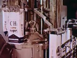 Montage of sugar and canning factories Stock Footage