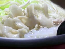 Konjac Noodle Stock Footage
