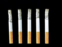 Cigarette Stock Footage