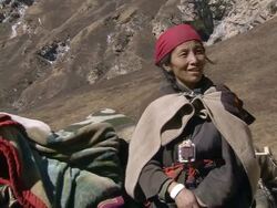 CU Nomadic woman with yak / Himalayas, Upper Dolpo, Nepal    Stock Footage