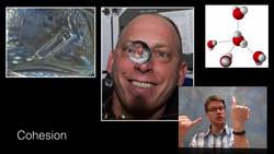 Water: A Polar Molecule Instructional Video