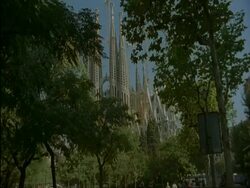 MS Sagrada Familia through trees, Barcelona, Spain Stock Footage