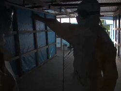 Major Ebola outbreak in western African region News Clip