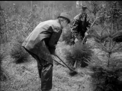 XMAS ON THE WAY... News Clip