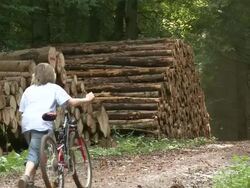 WS Boy with bicycle at forest / Tawern, Rhineland-Palatinate, Germany                             Stock Footage