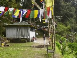 MS PAN Shot of religious flag outside temple / Puri, , Orissa, India Stock Footage