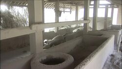 Evacuations underway after eruption that killed at least 25 News Clip