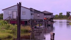 VOICED : In the Louisiana Bayou, an island slowly disappears under water News Clip
