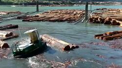 Logging Industry Squamish Stock Footage