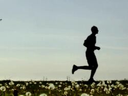 Outdoor Sports Stock Footage