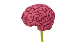 Football players three times more likely to develop brain disease Instructional Video