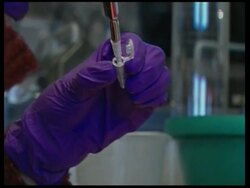 President Barack Obama ended a ban on federal funding of stem cell research. Obama's decision is a sharp reversal of the policies enacted by President George W. Bush. News Clip