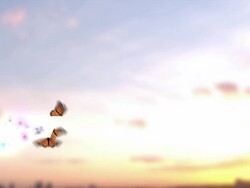 Butterflies Stock Footage