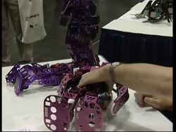 Hundreds of robots on show at giant expo News Clip