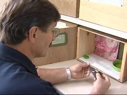 A 'bat hospital' cares for the injured animals News Clip