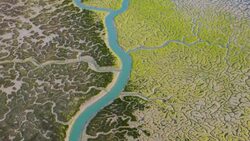 Aerial view of Bahï¿½ï¿½a de Cï¿½ï¿½diz Natural Park Stock Footage