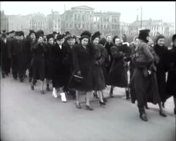 RED ARMY DAY - News Clip