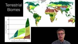 Ecosystem Ecology Instructional Video