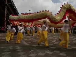 Long shot of Chinese dragon dancers entering the Stock Footage