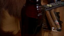 A stuffed bear holds a tray with beer and cigars. Stock Footage