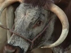 Atmosphere Stock Footage