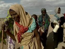Refugee family arriving at refugee camp Stock Footage