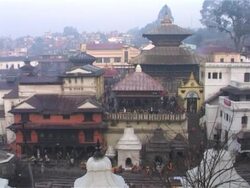 Temple complex of Pashupatinath Stock Footage