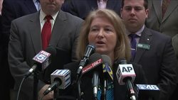 Ga. Conservative Groups Push To Repeal Veto News Clip