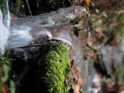 Small Waterfall Stock Footage