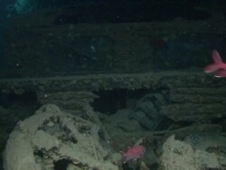Shipwreck SS Thistlegorm Stock Footage